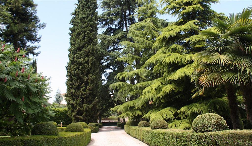 Villa Avesani Пастренго Экстерьер фото
